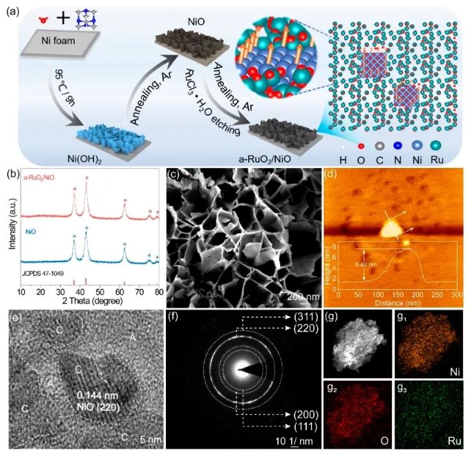 王春栋/王晓蕾ACS Nano：非晶/结晶催化剂上氧空位调控电子自旋，有效提升HER/UOR活性