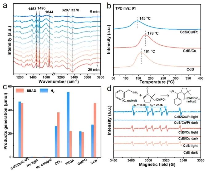 福州大学ACS Catalysis：CdS纳米片上构建Cu-Pt电子转移通道，用于选择性合成亚胺