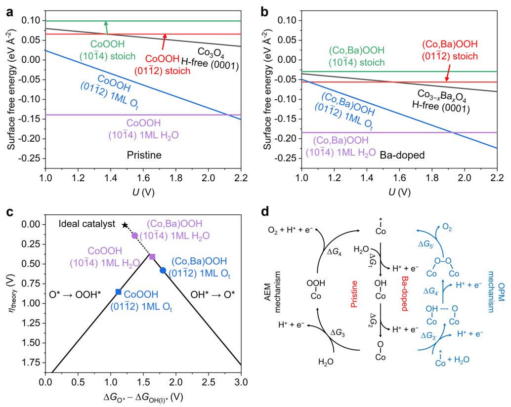 超燃！他，今日发表第16篇Nature Catalysis，第36篇JACS！