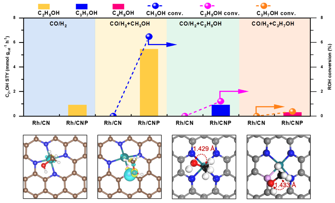 江南大学刘小浩团队ACB：磷的亲氧性强化C-O键解离助力CO2加氢从甲醇到乙醇可切换合成