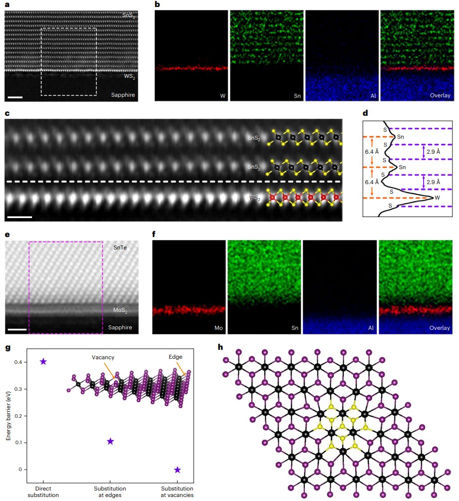 投稿到接收仅半年！广工大黄少铭课题组最新Nature Nanotechnology！