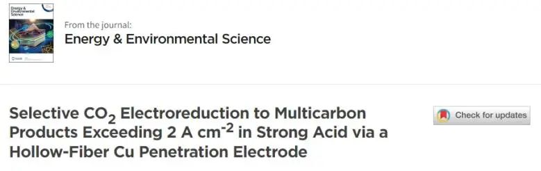陈为/魏伟EES：构建中空纤维Cu渗透电极，实现强酸中选择性CO2电还原为C2+