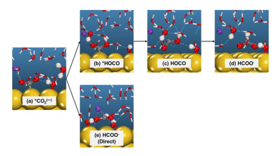 【计算文献解读】ACS Catalysis：KOH浓度的影响和OH–在CO2电催化还原中的作用