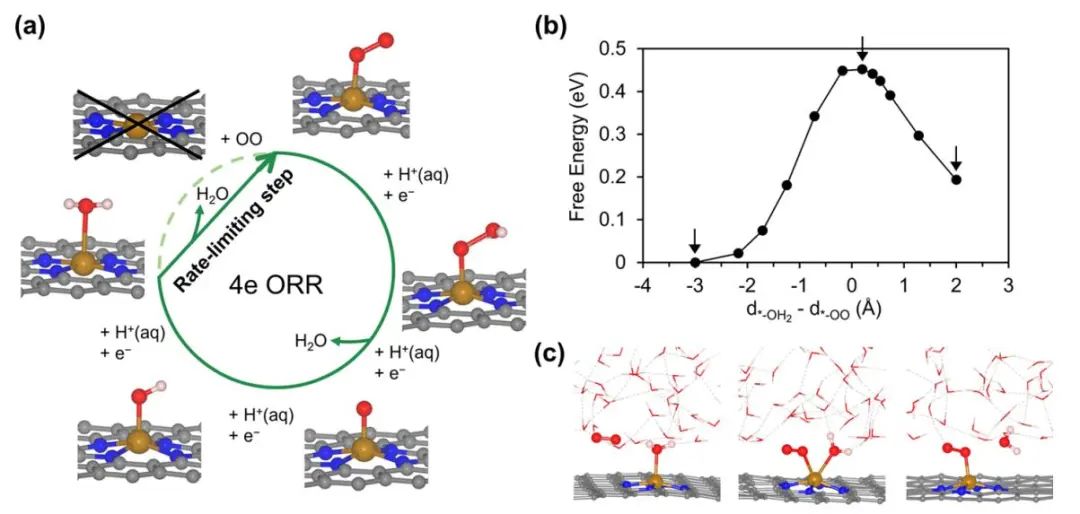 JACS：Fe-N-C催化剂在氧还原反应中的决速步是什么?