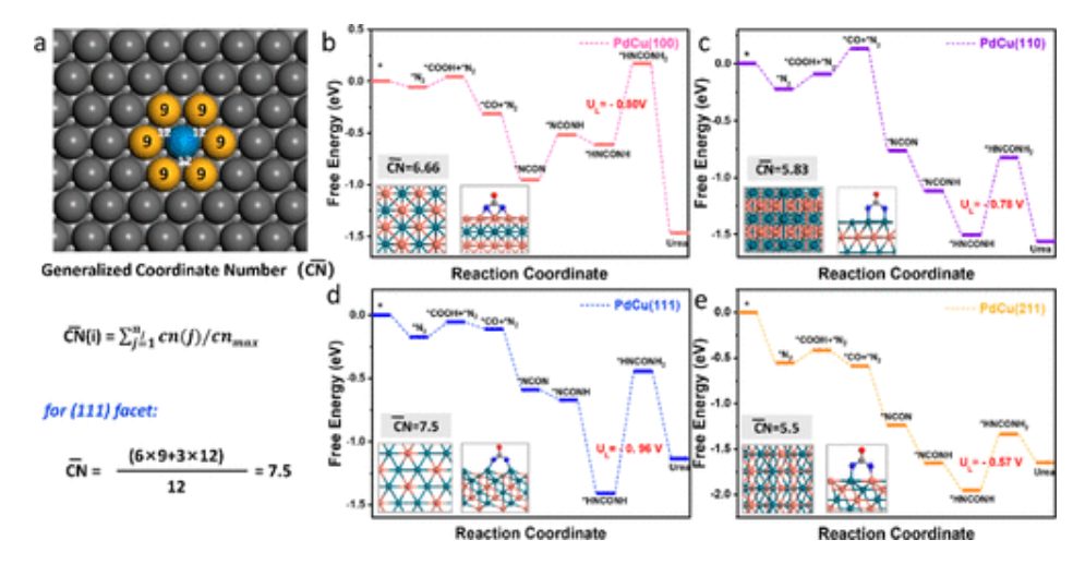 ​【顶刊纯计算】ACS Catal.：钯-铜合金电化学合成尿素的结构敏感催化性能研究