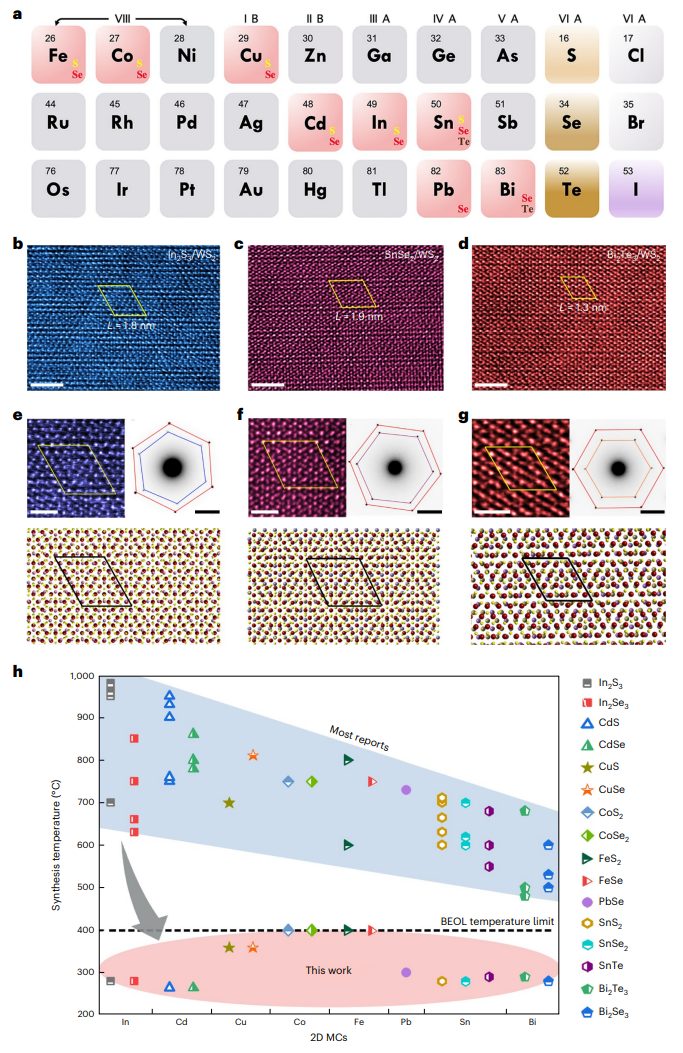 投稿到接收仅半年！广工大黄少铭课题组最新Nature Nanotechnology！