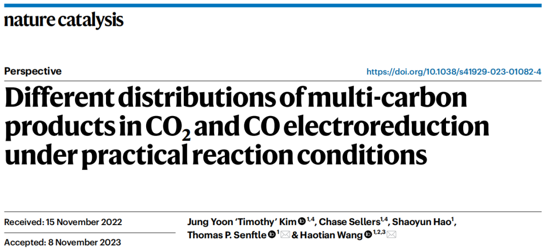 汪淏田教授，最新Nature Catalysis！