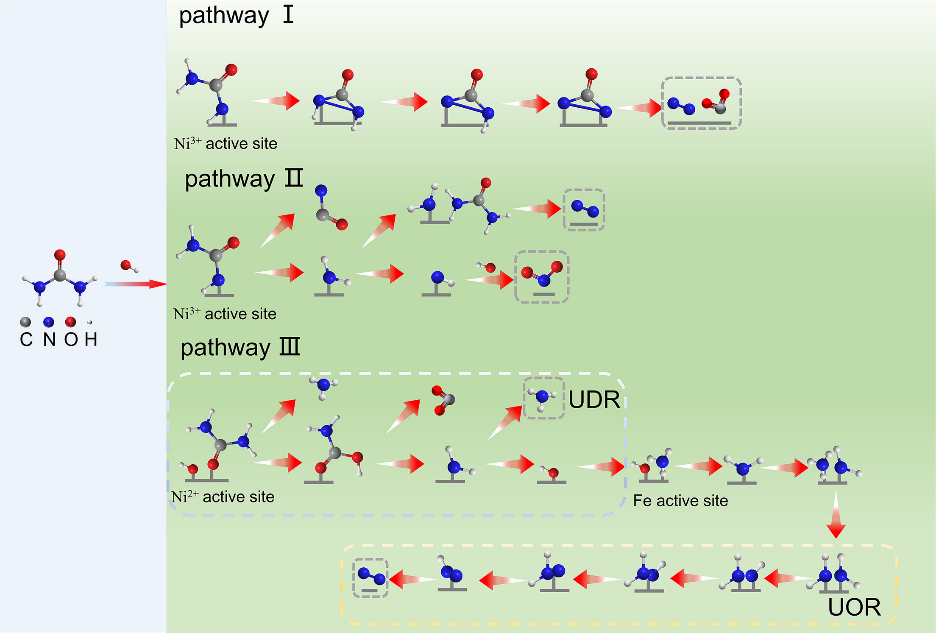 华科Chem Catalysis：如何建立尿素氧化中催化剂结构，活性物种和产物选择性三者的构效关系？