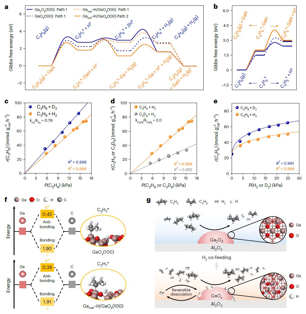 巩金龙教授，最新Nature Chemistry！