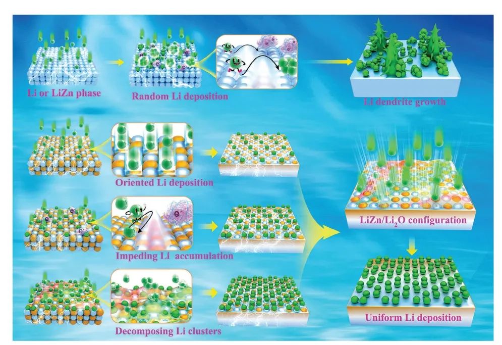 ​西安理工李喜飞AFM：LiZn/Li2O 诱导化学限制实现无枝晶锂金属负极