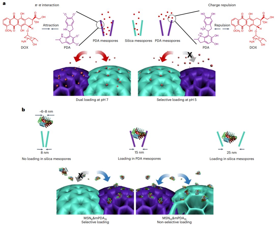 复旦大学李晓民/赵东元院士，今日Nature Chemistry！这个介孔结构美翻了！