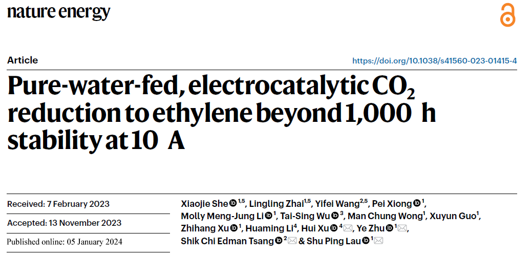 香港理工大学，最新Nature Energy！