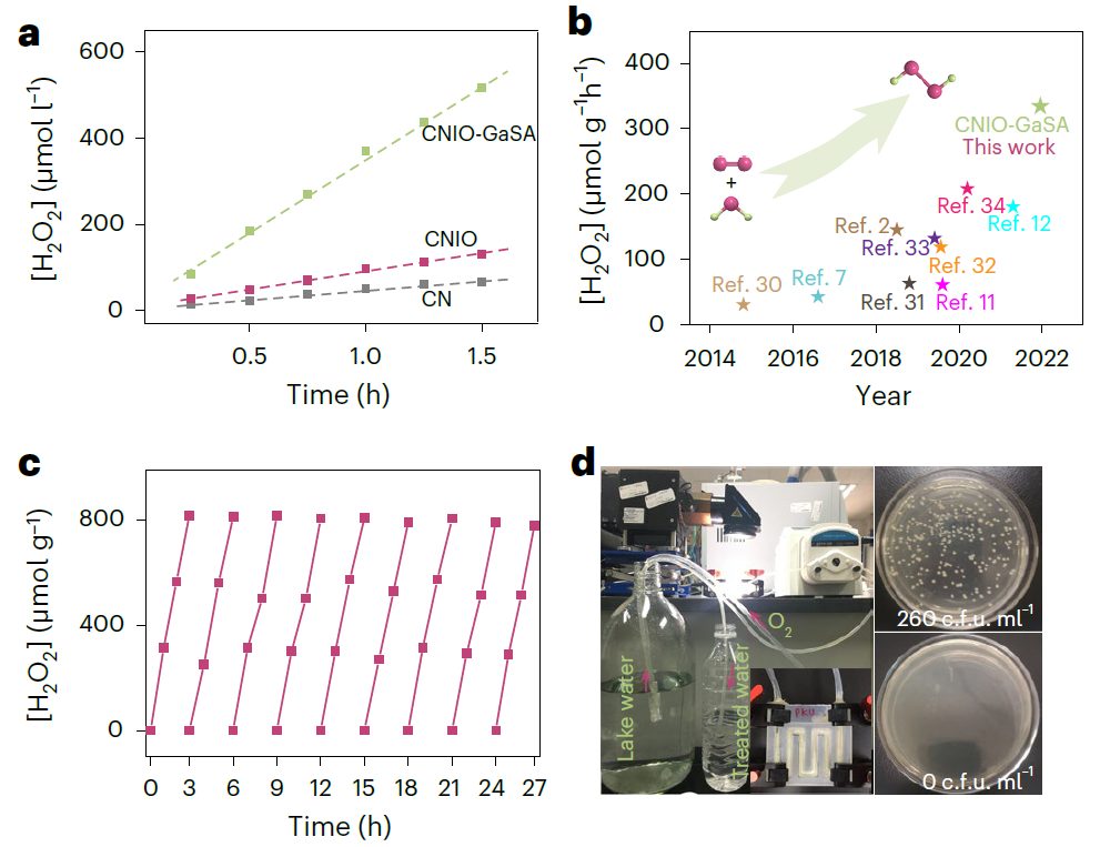 北大郭少军教授，最新Nature Synthesis！