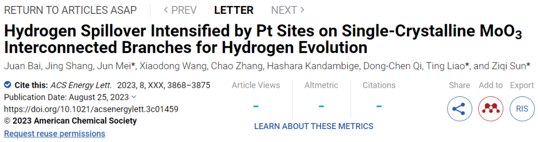 孙子其/廖婷ACS Energy Letters：s-MoO3助力HER中的氢溢出