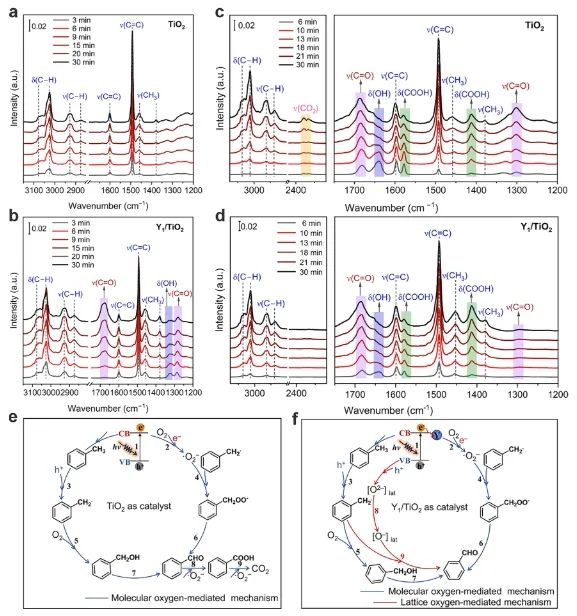 段昊泓/徐明ACS Catalysis：Y1/TiO2上分子氧和晶格氧同时活化，显著促进甲苯氧化为苯甲醛