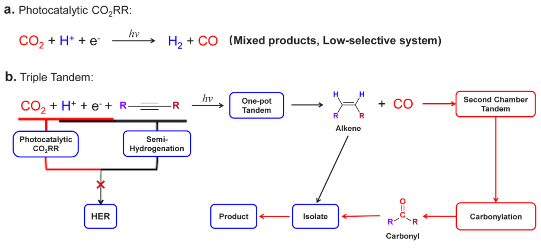 【DFT+实验】华南师大刘江，兰亚乾教授团队Nature Synthesis：多团簇组装体低选择性CO2光还原产物的串联升值