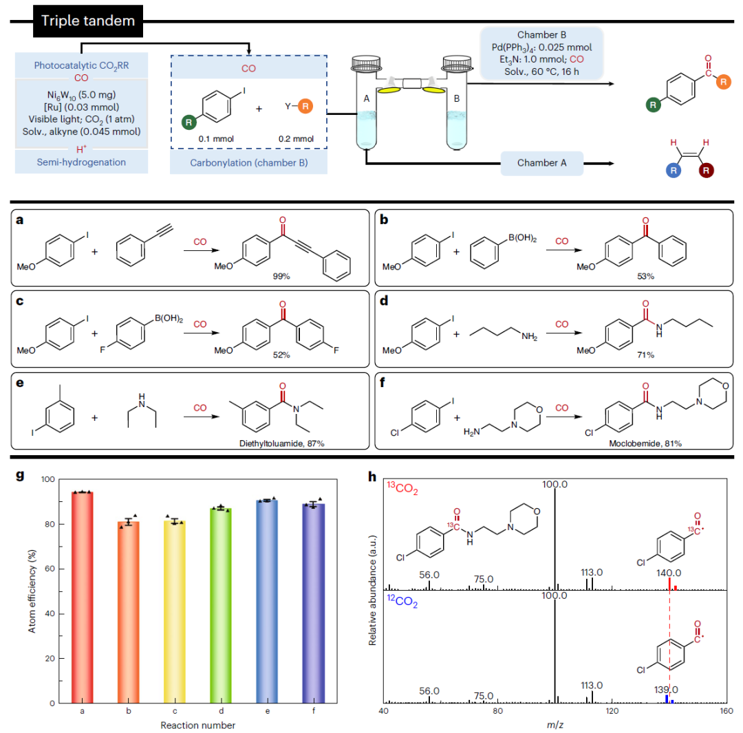 这所大学，迎来首篇Nature Synthesis！