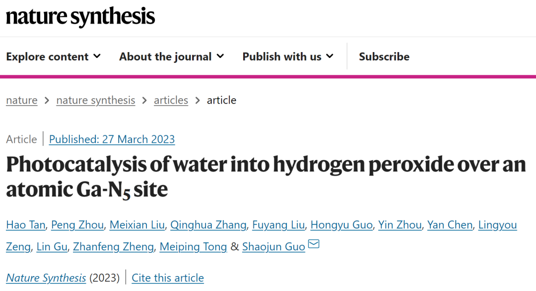 北大郭少军教授，最新Nature Synthesis！