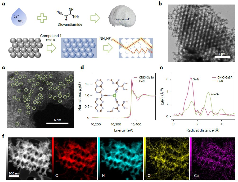 北大郭少军教授，最新Nature Synthesis！