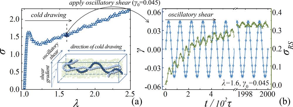 中国科学技术大学李良彬、崔昆朋团队ACS Macro Letters | 玻璃态聚合物在应变中由键取向决定的焓应力