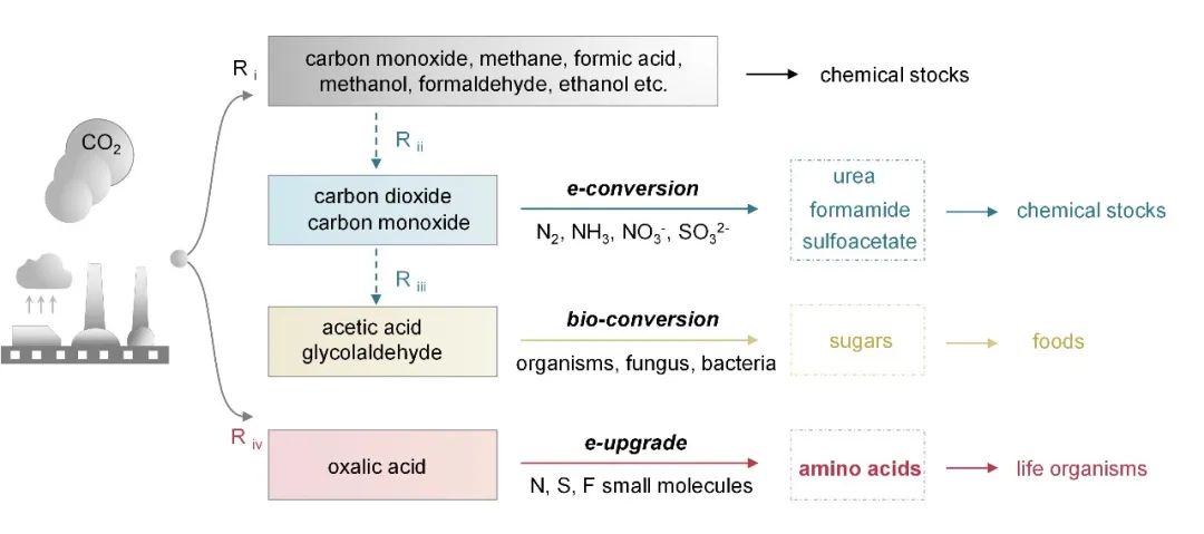 谢毅院士-孙永福团队突破：打通从CO2+N2电合成氨基酸关键路径