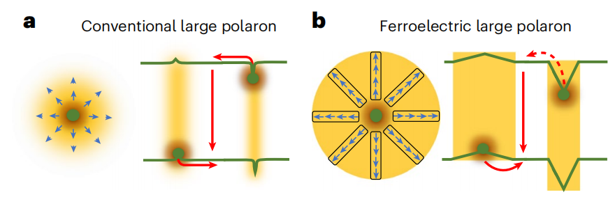 段镶锋教授/平远教授，今日Nature Nanotechnology！