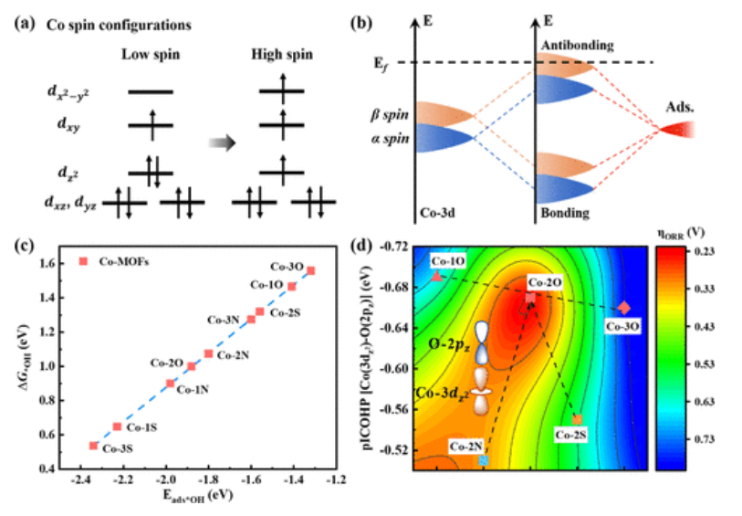 【顶刊纯计算】ACS Catal.：有机配体对2D金属-有机框架中金属位点自旋态的协同作用用于提高ORR性能