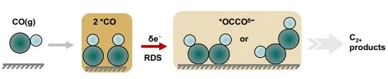 ​Nature子刊：理论推导结合假设机制，研究COER过程中C2+产物的RDS