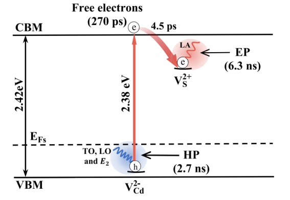 【DFT+实验】物理所翁羽翔团队：飞秒可见至中红外宽谱探测CdS单晶的电子和空穴极化子