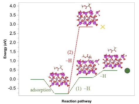 王敏/芦天亮ACS Catalysis：Bi2MoO6中引入亚表面Mo空位，促进光催化乳酸氧化为丙酮酸