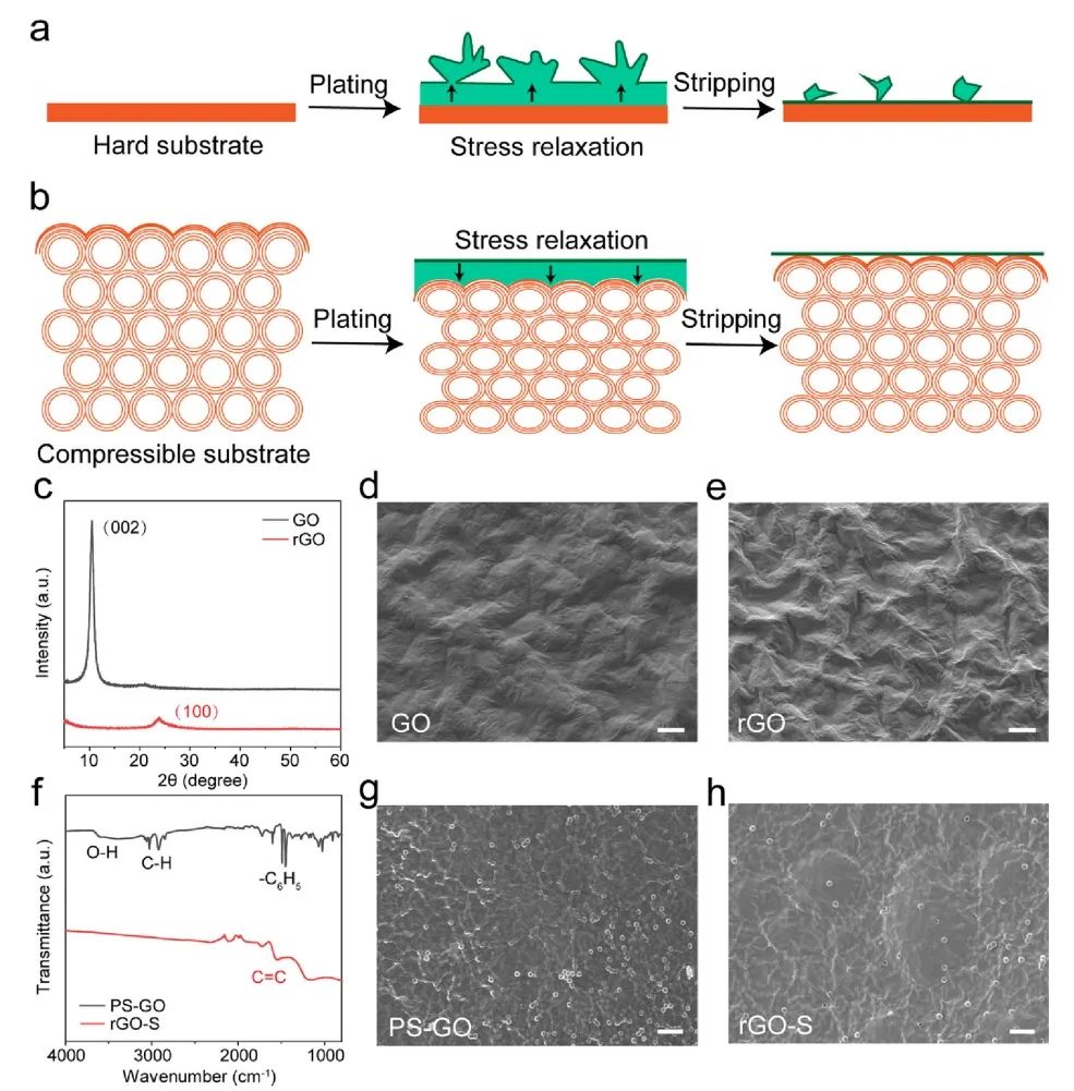 ​上科大陈刚Nano Letters：可压缩和弹性还原氧化石墨烯海绵用于锂金属负极