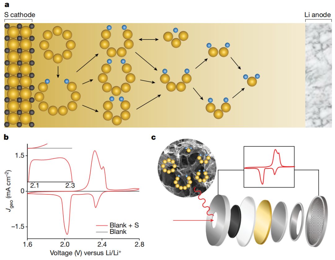 【DFT+实验】Nature：段镶锋/Philippe Sautet团队揭示锂硫电池硫还原反应机理