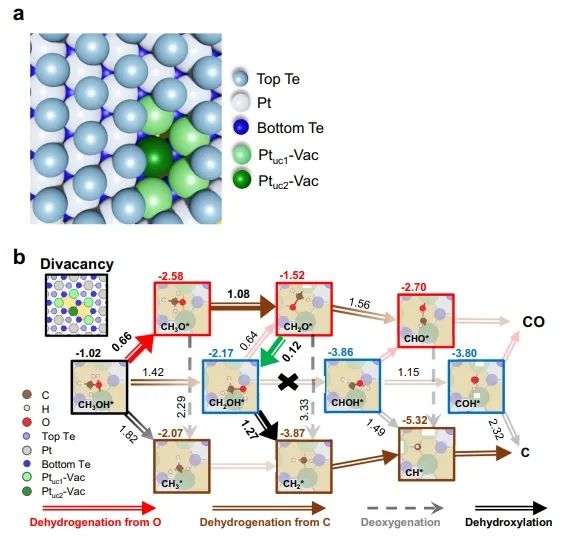 ​Nature子刊：剖幽析微！揭示层状PtTe2表面低配位Pt位点在甲醇分解中的作用