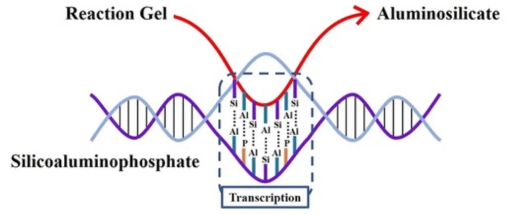 牛！Science+8篇JACS/Angew！吉林大学于吉红院士2023年优秀成果精选！