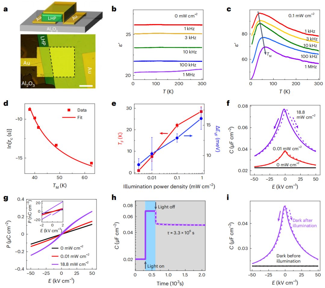 段镶锋教授/平远教授，今日Nature Nanotechnology！