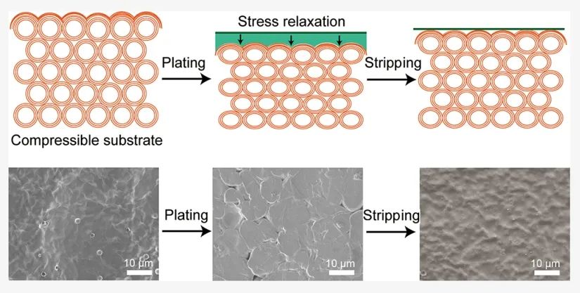 ​上科大陈刚Nano Letters：可压缩和弹性还原氧化石墨烯海绵用于锂金属负极