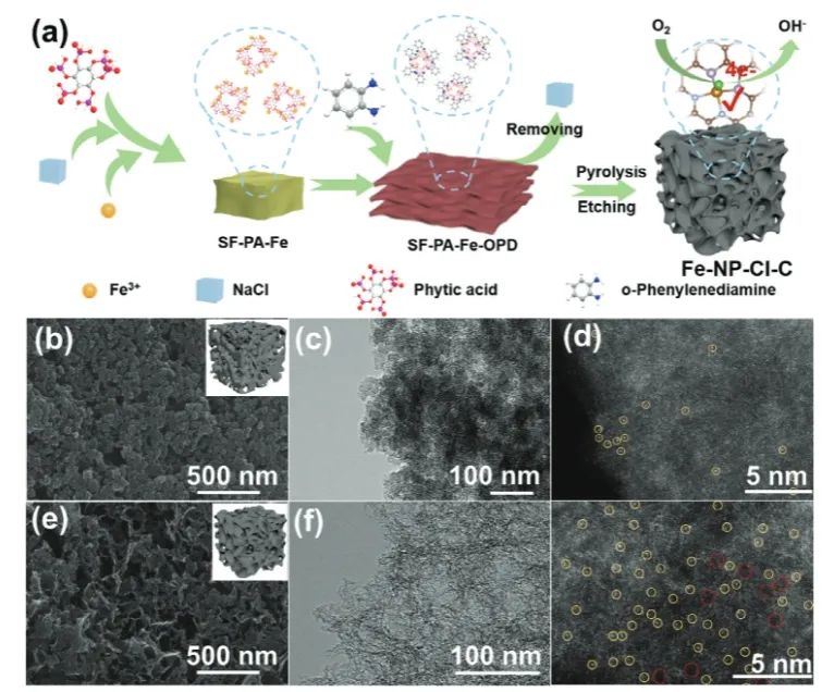 吴明铂/赵青山Advanced Science：盐效应诱导策略立大功，构建Fe-N2P2-Cl位点来有效促进ORR