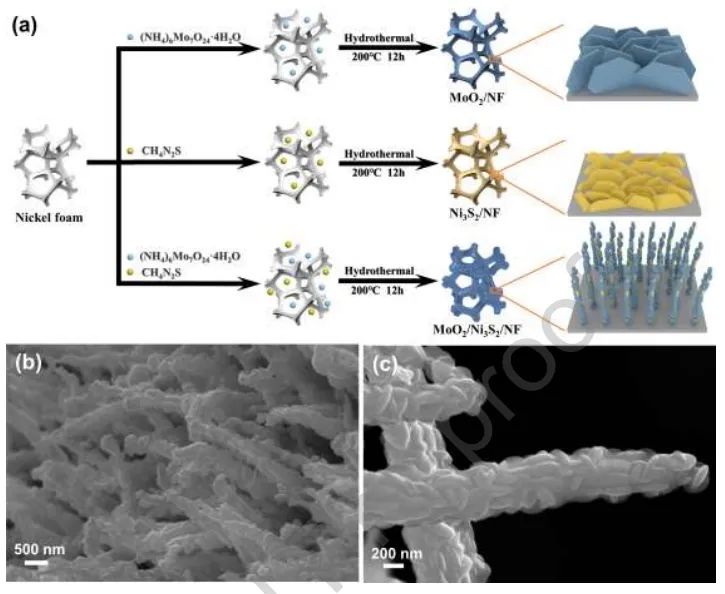 北京科技大学Nano Energy：构建MoO2/Ni3S2异质结界面，增强碱性HER活性