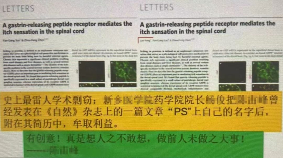 Science论文P上自己名字？字母“T”代替误差棒？你见过最拙劣的学术造假是什么样的？