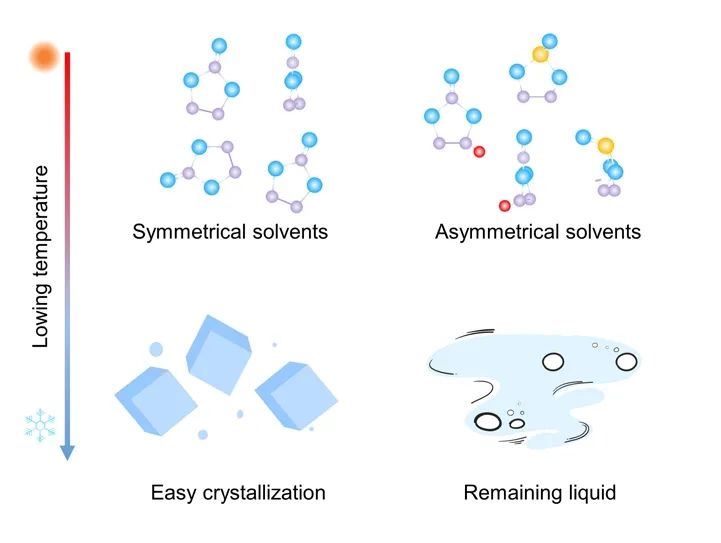 ​南开陈军Angew：不对称溶剂调节结晶限制的电解质实现全气候锂金属电池