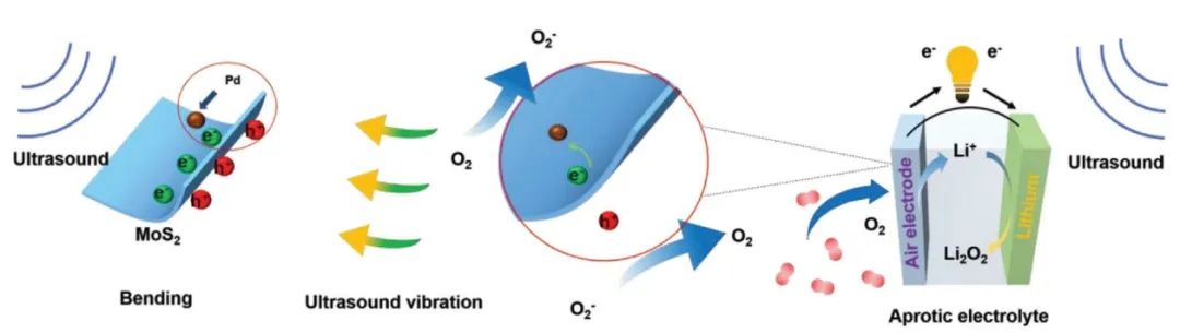 ​吉大/长春理工AEM：基于MoS2/Pd 正极压电催化和能带弯曲助力Li−O2电池