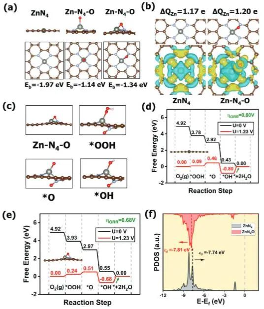 ​【DFT+实验】中大Adv. Sci.：轴向O配体调节Zn-N-C电子结构和几何结构，显著提升ORR活性