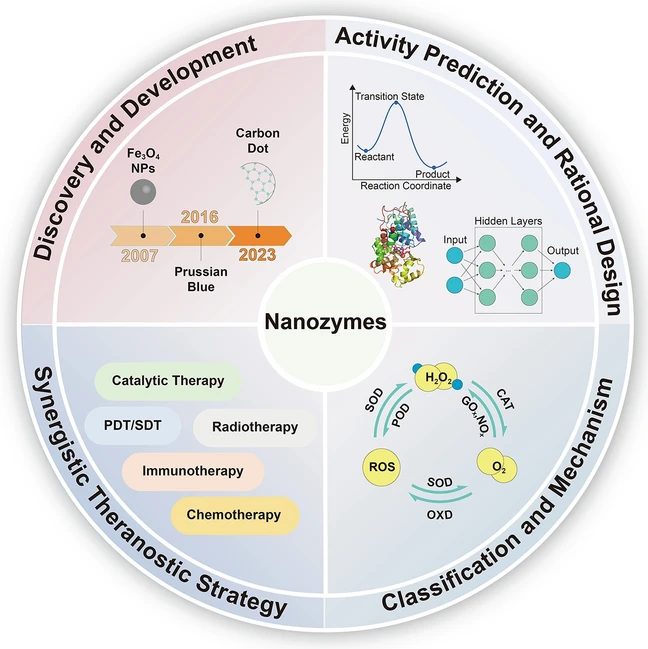 哈工程盖世丽/杨飘萍等综述：深入揭示纳米酶的设计策略、催化机制和癌症治疗模式