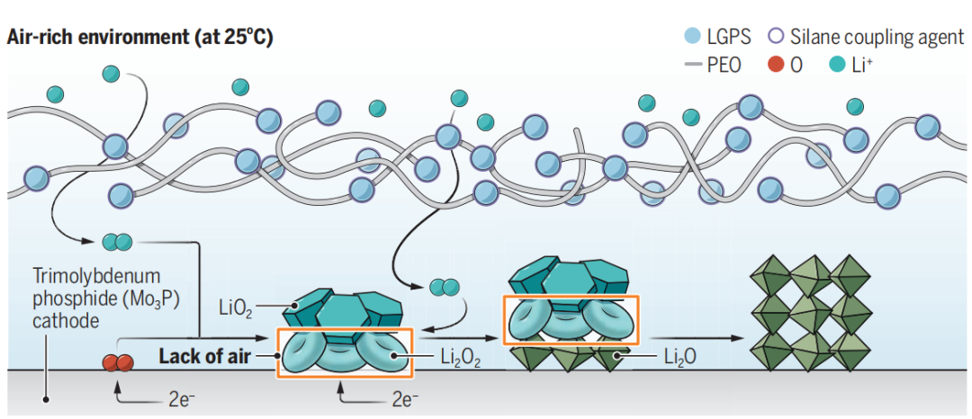 2023年，锂电池领域，一天两篇Science！