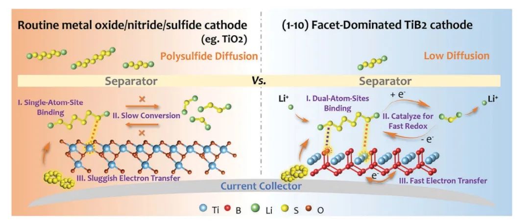 上大​AFM：TiB2纳米片增强Li-S电池中多硫化物转化