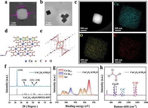 麦立强/徐林，最新JACS！