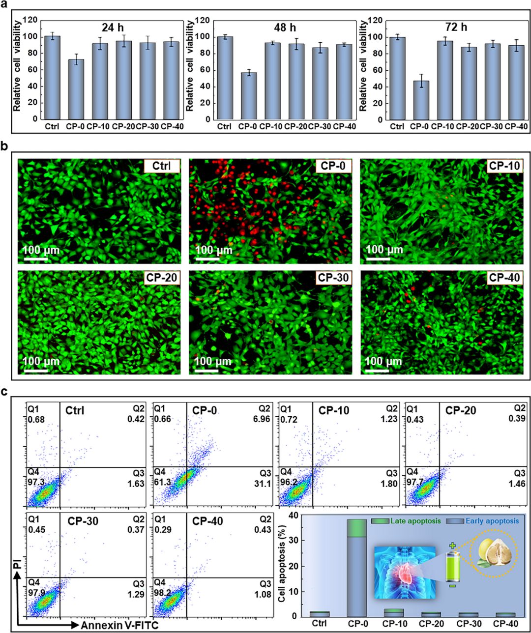 华北电力/中科院Nano Micro-Letters：生物质碳集成策略开发生物兼容性水系Zn-MnO2电池正极