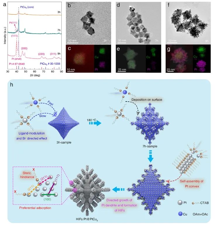 姚涛/曹林林/罗其全Nano Letters：高指数面Pt壳协同PtCu3金属间化合物壳，显著提升ORR活性