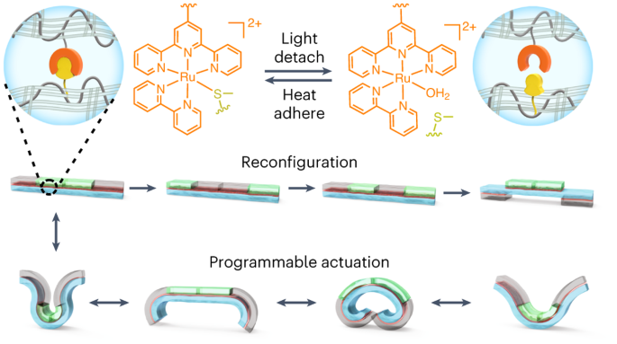 中科大，最新Nature Chemistry！