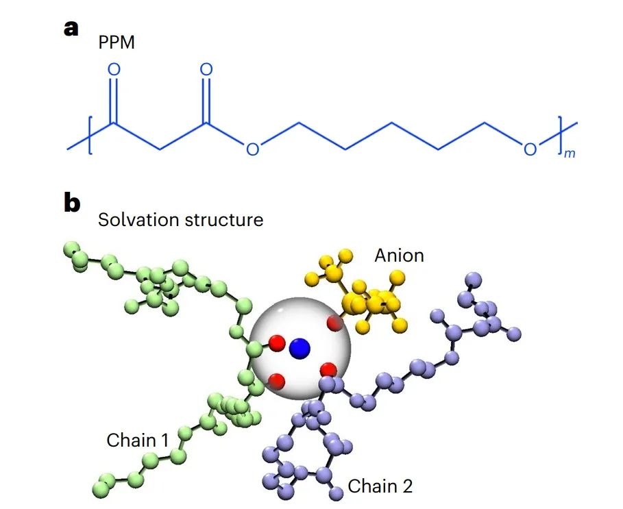 ​加州大学伯克利分校Nature Materials：锂电池聚合物电解质中的纳秒溶剂化动力学